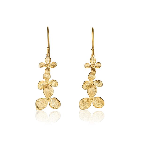 Photographer Alex Perelman