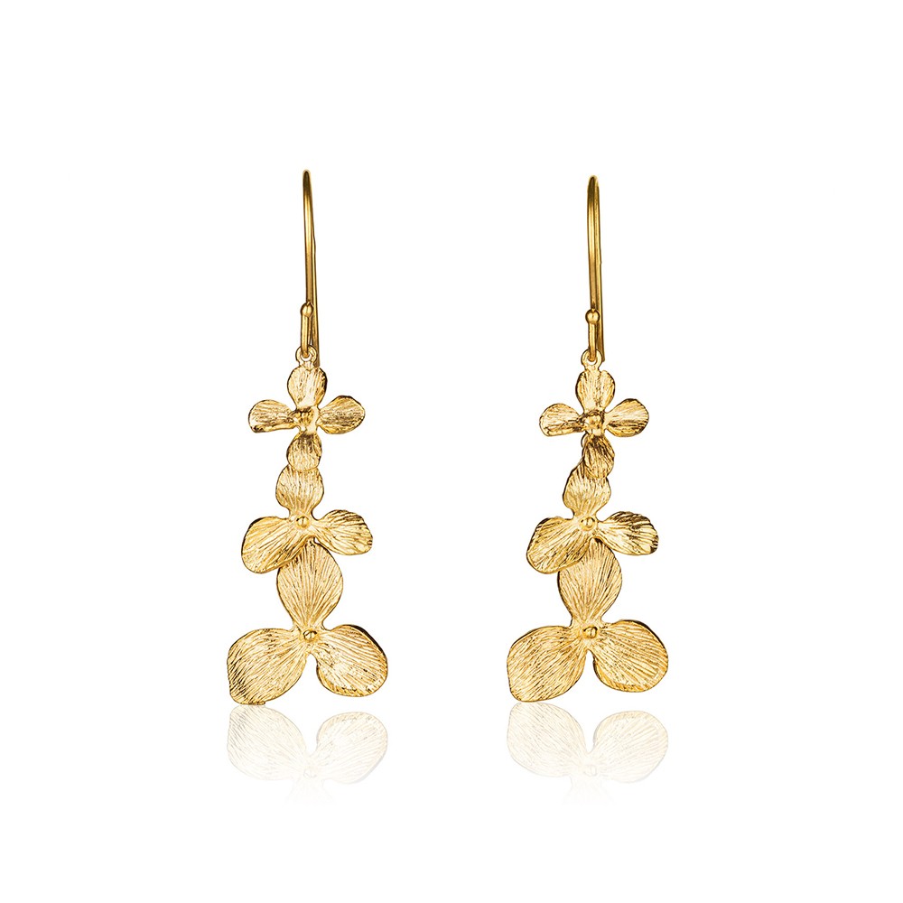 Photographer Alex Perelman