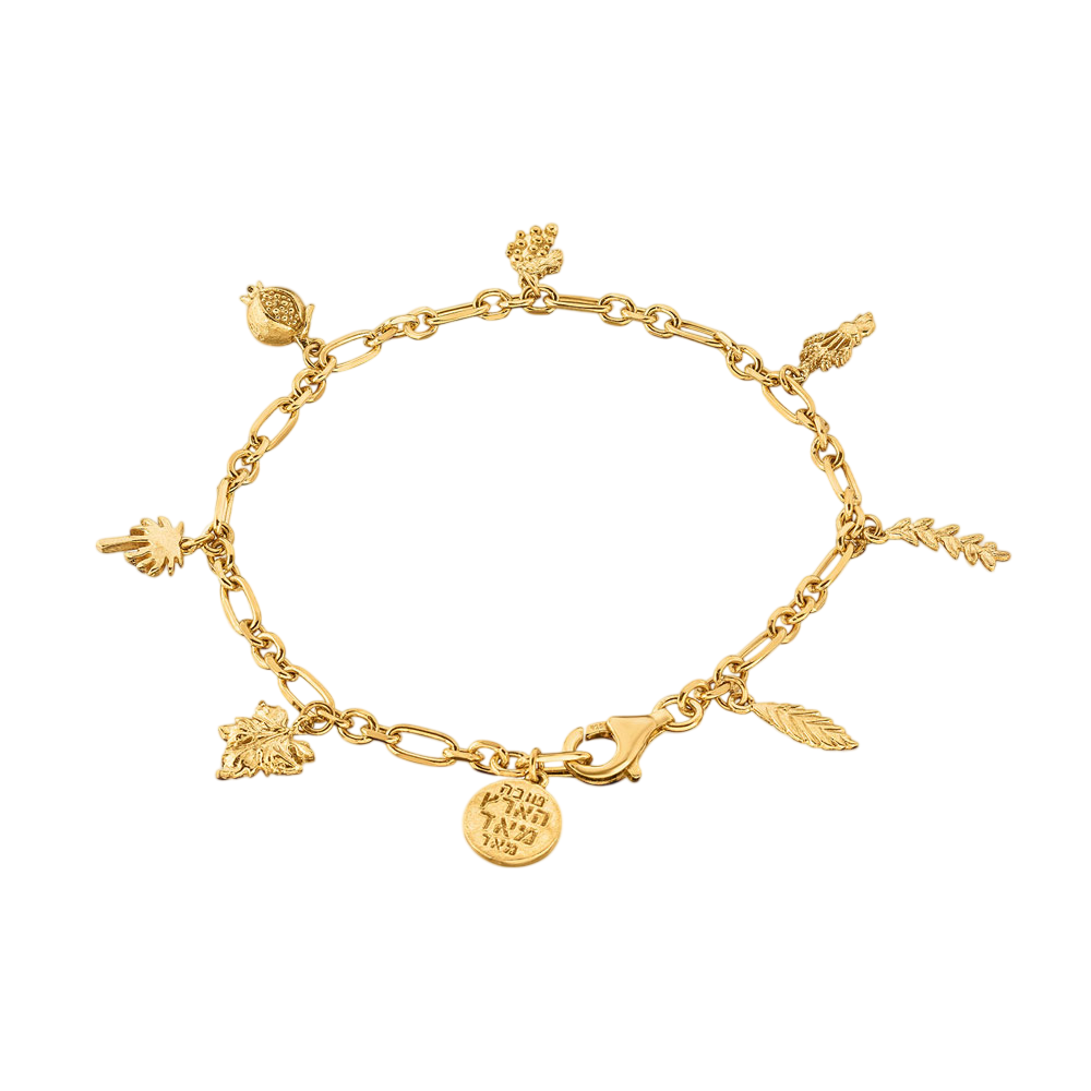Charm-Bracelet-Gold-Plate-Photoroom