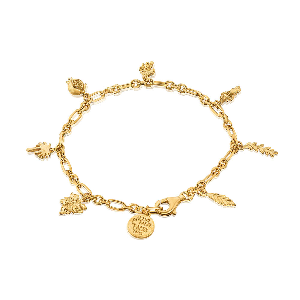Charm Bracelet Gold Plate