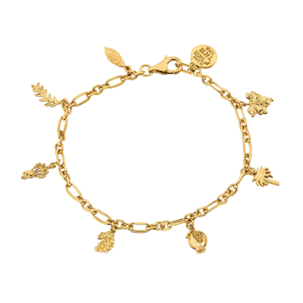 Charm-Bracelet-Photoroom (1)