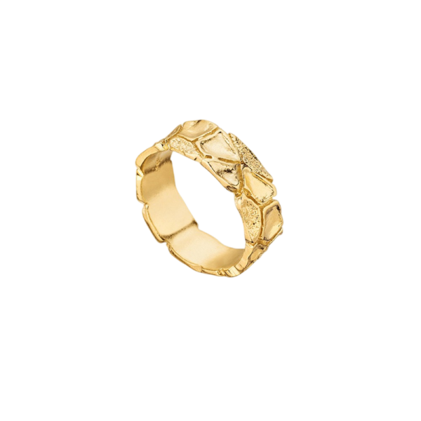 Earth-Ring-Photoroom