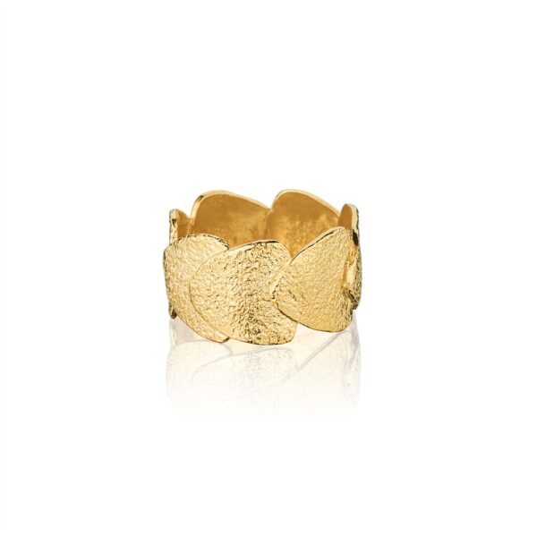 Ring Gold Plate